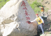 济源市原始森林基地